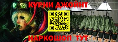 крисы Ирбит
