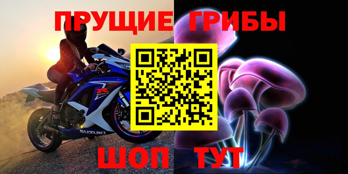 Псилоцибиновые грибы Psilocybe Красный Сулин